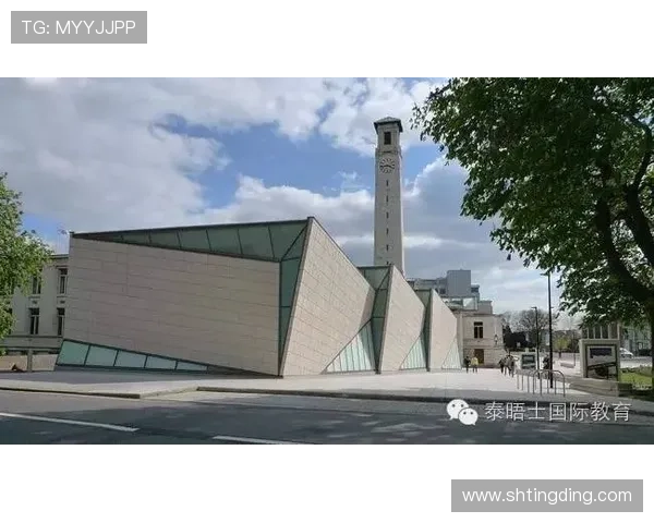 南安普顿足球俱乐部历史辉煌与挑战并存的多元发展之路 南安普顿足球俱乐部历史辉煌与挑战并存的多元发展之路