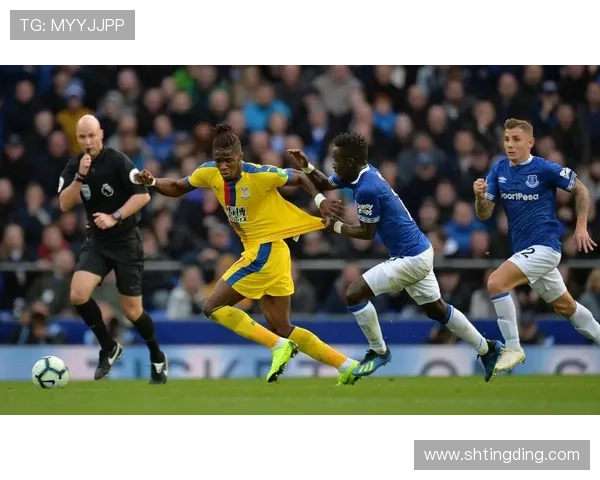 以水晶宫俱乐部为核心的英超崛起与传承之路探索发展与未来蓝图解析