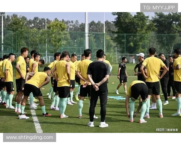 国家队备战关键赛事新阵容亮相球迷期待冲击佳绩教练组全面调整战术打法